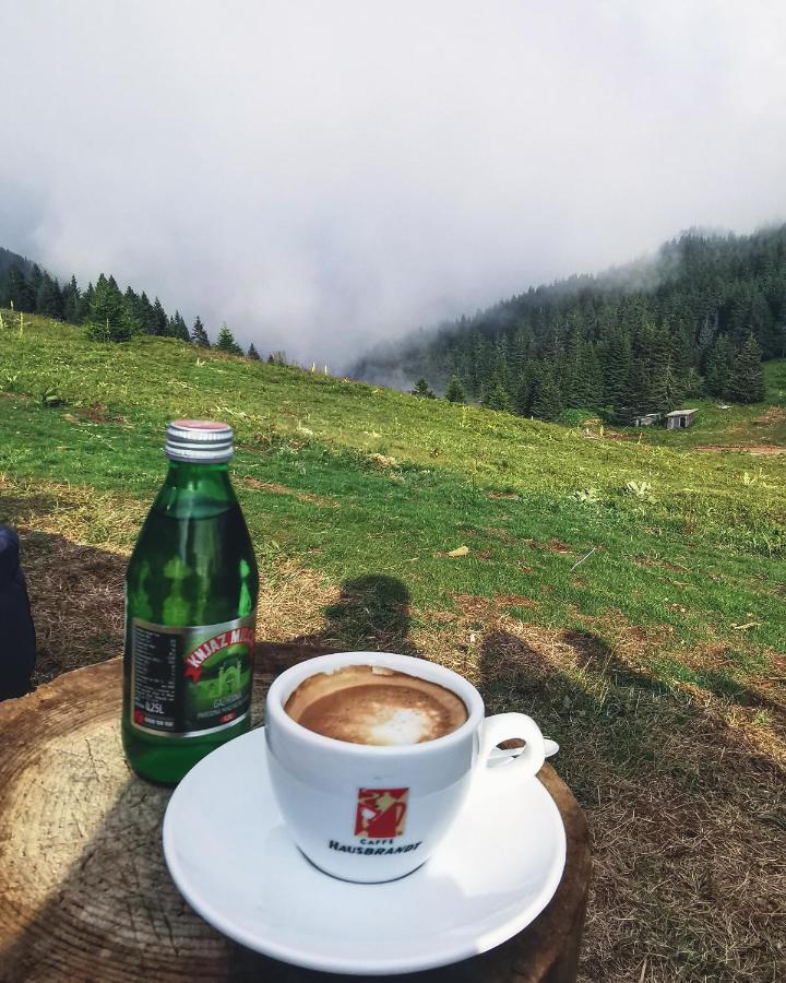 Milmari Resort - Apartman L43 Kopaonik Esterno foto